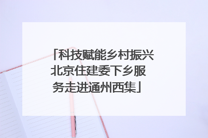 科技赋能乡村振兴 北京住建委下乡服务走进通州西集