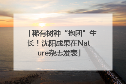 稀有树种“抱团”生长！沈阳成果在Nature杂志发表