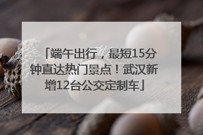 端午出行，最短15分钟直达热门景点！武汉新增12台公交定制车