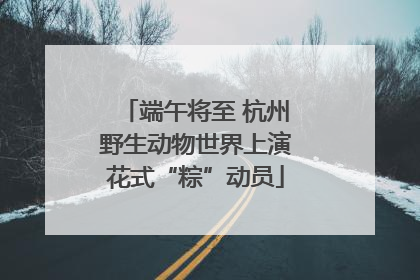 端午将至 杭州野生动物世界上演花式“粽”动员