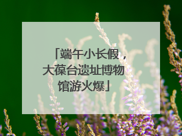 端午小长假，大葆台遗址博物馆游火爆