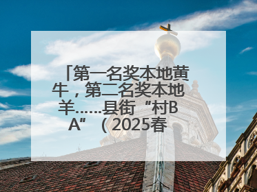 第一名奖本地黄牛，第二名奖本地羊……县街“村BA”（2025春季赛）圆满完赛