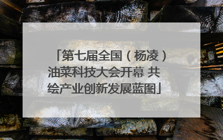 第七届全国（杨凌）油菜科技大会开幕 共绘产业创新发展蓝图