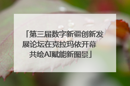 第三届数字新疆创新发展论坛在克拉玛依开幕 共绘AI赋能新图景