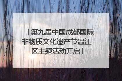 第九届中国成都国际非物质文化遗产节温江区主题活动开启