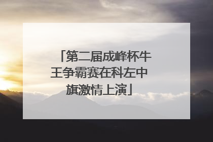 第二届成峰杯牛王争霸赛在科左中旗激情上演