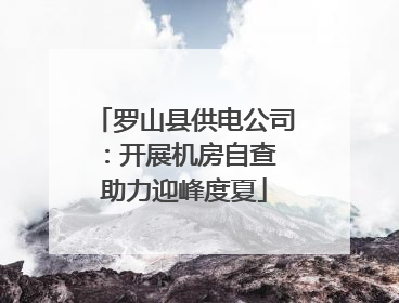 罗山县供电公司：开展机房自查 助力迎峰度夏