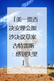 美一票否决安理会加沙决议草案 古特雷斯：感到失望