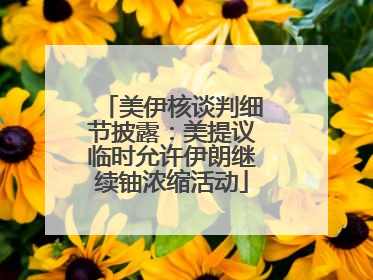 美伊核谈判细节披露：美提议临时允许伊朗继续铀浓缩活动