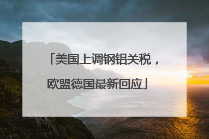 美国上调钢铝关税，欧盟德国最新回应