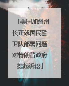 美国加州州长正就国民警卫队部署问题对特朗普政府提起诉讼