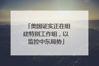 美国证实正在组建特别工作组，以监控中东局势