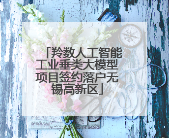 羚数人工智能工业垂类大模型项目签约落户无锡高新区