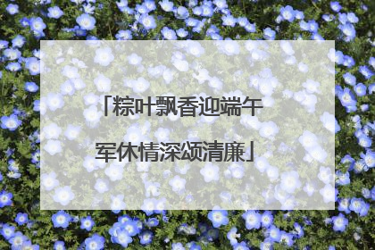 粽叶飘香迎端午 军休情深颂清廉