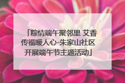 粽情端午聚邻里 艾香传福暖人心-朱家山社区开展端午节主题活动