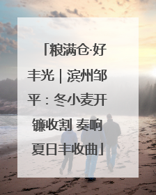 粮满仓·好丰光｜滨州邹平：冬小麦开镰收割 奏响夏日丰收曲