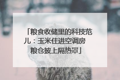 粮食收储里的科技范儿：玉米住进空调房 粮仓披上隔热罩