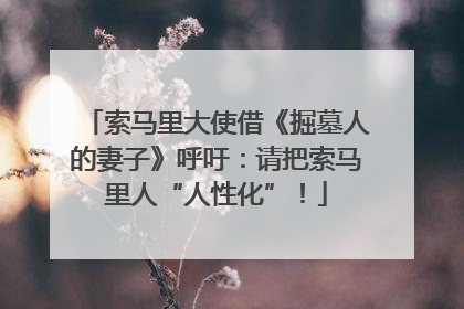 索马里大使借《掘墓人的妻子》呼吁：请把索马里人“人性化”！