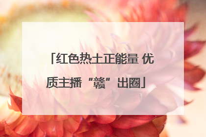 红色热土正能量 优质主播“赣”出圈