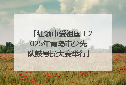 红领巾爱祖国！2025年青岛市少先队鼓号操大赛举行