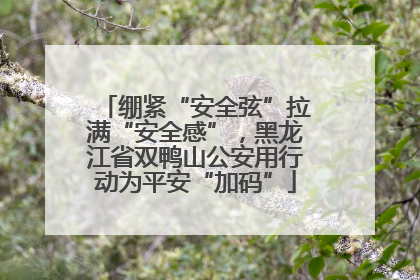 绷紧“安全弦”拉满“安全感”，黑龙江省双鸭山公安用行动为平安“加码”