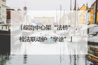 综治中心架“法桥”，检法联动护“学途”