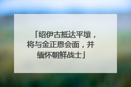 绍伊古抵达平壤，将与金正恩会面，并缅怀朝鲜战士