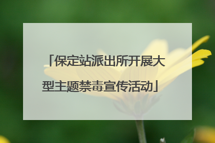 保定站派出所开展大型主题禁毒宣传活动