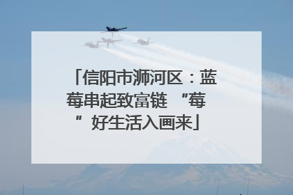 信阳市浉河区：蓝莓串起致富链 “莓”好生活入画来