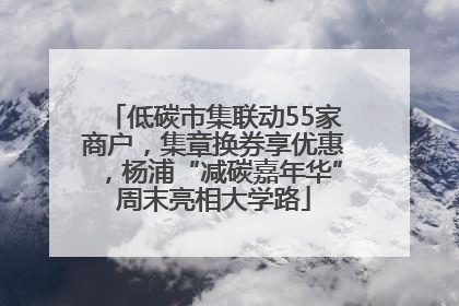 低碳市集联动55家商户，集章换券享优惠，杨浦“减碳嘉年华”周末亮相大学路