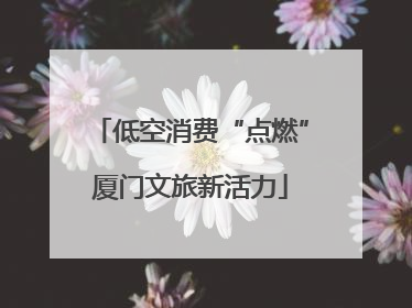 低空消费“点燃”厦门文旅新活力
