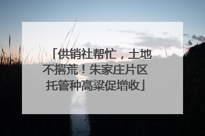 供销社帮忙，土地不撂荒！朱家庄片区托管种高粱促增收