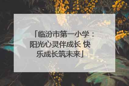 临汾市第一小学：阳光心灵伴成长 快乐成长筑未来