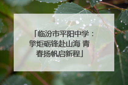 临汾市平阳中学：擎炬砺锋赴山海 青春扬帆启新程