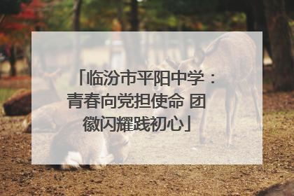 临汾市平阳中学：青春向党担使命 团徽闪耀践初心