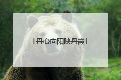 丹心向阳映丹霞