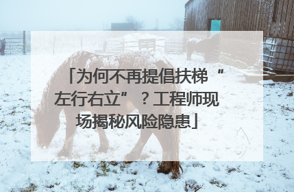 为何不再提倡扶梯“左行右立”？工程师现场揭秘风险隐患