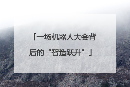 一场机器人大会背后的“智造跃升”