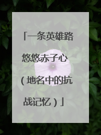 一条英雄路 悠悠赤子心（地名中的抗战记忆）