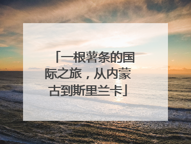 一根薯条的国际之旅，从内蒙古到斯里兰卡