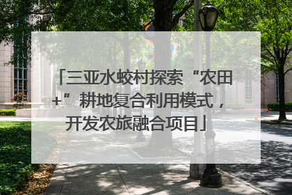 三亚水蛟村探索“农田+”耕地复合利用模式，开发农旅融合项目