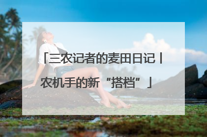 三农记者的麦田日记丨农机手的新“搭档”