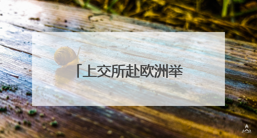 上交所赴欧洲举办推介交流活动，境外机构看好A股长期投资价值