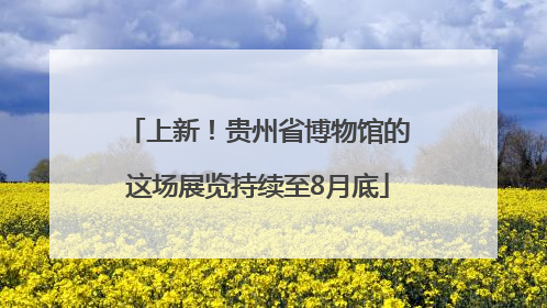 上新！贵州省博物馆的这场展览持续至8月底
