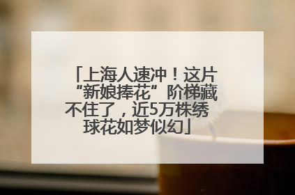上海人速冲！这片“新娘捧花”阶梯藏不住了，近5万株绣球花如梦似幻