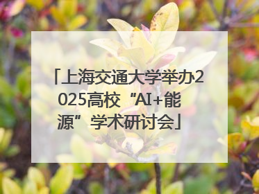 上海交通大学举办2025高校“AI+能源”学术研讨会