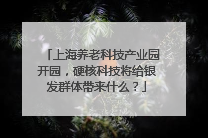 上海养老科技产业园开园，硬核科技将给银发群体带来什么？