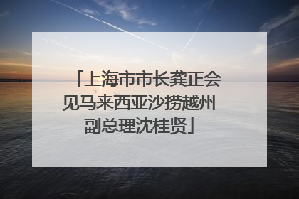 上海市市长龚正会见马来西亚沙捞越州副总理沈桂贤