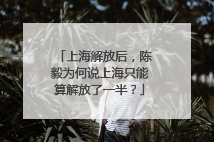 上海解放后，陈毅为何说上海只能算解放了一半？
