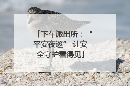 下车派出所：“平安夜巡” 让安全守护看得见